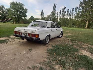 риссор: ГАЗ 31029 Volga: 1994 г., 2.4 л, Механика, Бензин, Седан — 5