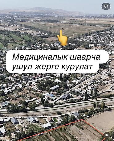 арловка участок: 115 соток, Для бизнеса, Красная книга, Договор купли-продажи — 7