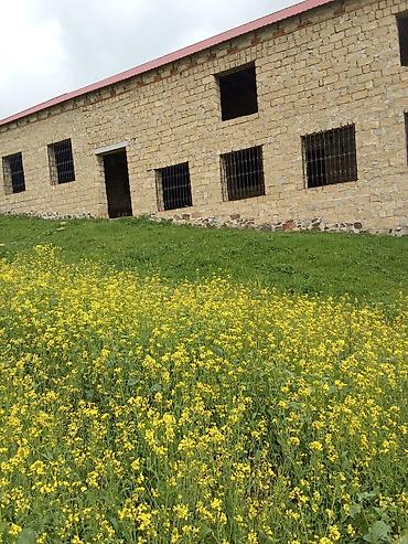 razin kiraye evler heyet: Dağətəyi ərazidə yerləşən daş konstruksiyalı təsərrüfat binası - — 1