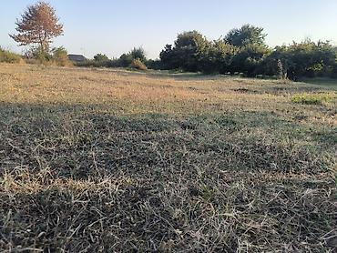 boş torpaq: 21 sot, Tikinti, Mülkiyyətçi, Kupça (Çıxarış) — 7