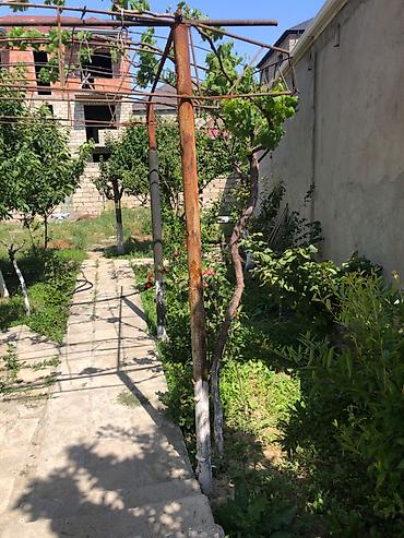 vila evler: NZS 6 otaqlı, 250 kv. m, Yeni təmirli — 5