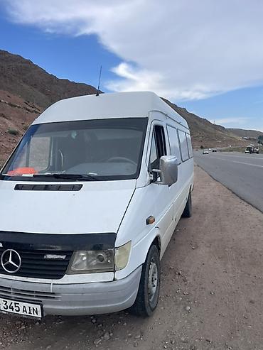эштк: Mercedes-Benz Спринтер: 1999 г., Дизель, Van — 3
