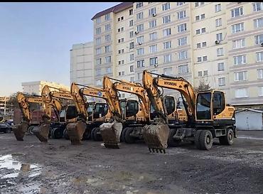 Аренда колесных экскаваторов Hyundai Предлагаются к работе колесные at lalafo.kg Аренда колесных экскаваторов Hyundai Предлагаются к работе колесные