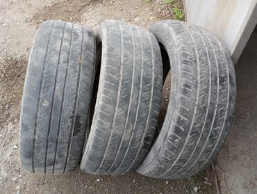 колесо шины: Шины 245 / 55 / R 19, Лето, Б/у, Легковые, Dunlop