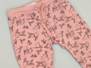 legginsy hm zebra: Sweatpants, Fox&Bunny, 9-12 months, condition - Very good