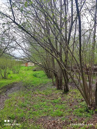 Torpaq sahələrinin satışı: 18 sot, Tikinti, Mülkiyyətçi, Kupça (Çıxarış) — 7