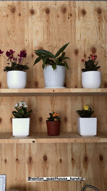 Посуточная аренда квартир: В г Каракол Посуточные квартиры Апартаменты . Студийные комнаты — 4