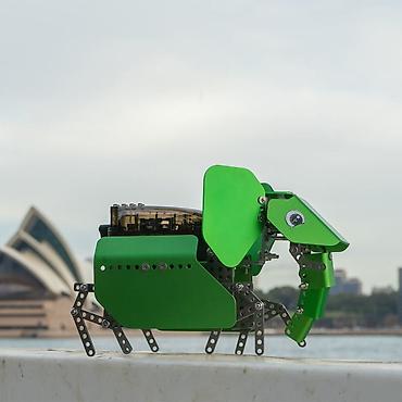 oyuncaq telefon: Q-Elephant Robot Dəsti (STEAM Təlim Robotu) Q-Elephant – 267+ metal — 2