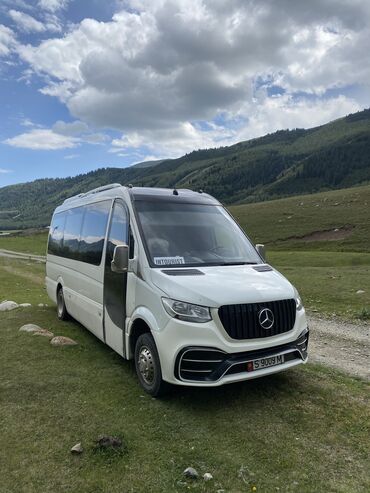 mercedesbenz sprinter холодильник: Автобус, Mercedes-Benz, 2009 г., 3 л