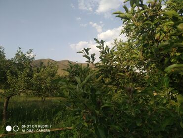 Bağ evlərinin satışı: Lerik, 115 kv. m, 3 otaqlı, İnternet, Telefon, Qaz — 12