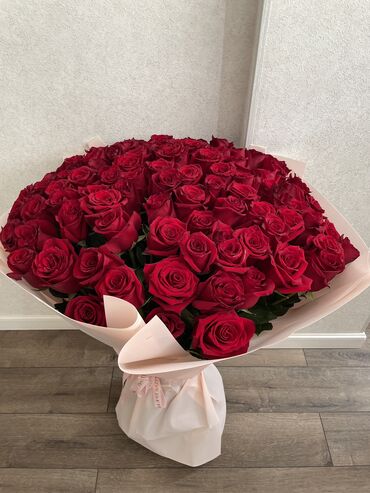 комнатная роза: Продаю розы 100 шт
