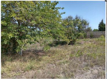 Torpaq sahələrinin satışı: 12 sot, Biznes üçün, Kupça (Çıxarış) — 8