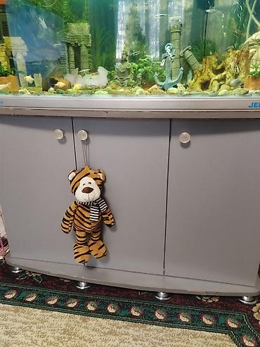 Аквариумы: Заводской аквариум на 250 литров, полностью укомплектован с рыбками и — 1