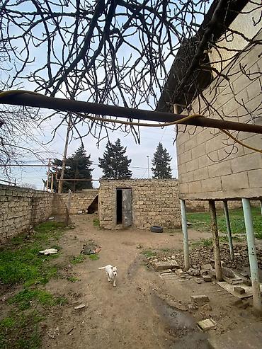 Həyət evləri və villaların satışı: Maştağa qəs. 9 otaq, 240 kv. m, Təmirsiz — 2