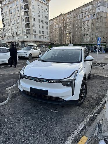 Другие автомобили: Электромобиль Neta U (Badged as “NETA U”) — компактный кроссовер на — 2