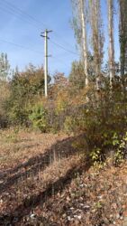 куплю дом с последующим выкупом: Барачный, 1000 м², 4 комнаты, Собственник, ПСО (под самоотделку)