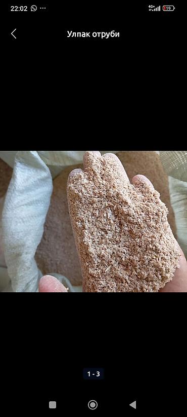 Корма для с/х животных: Отруби пшеничные «Улпак» — оптом. - Натуральные пшеничные отруби — 3