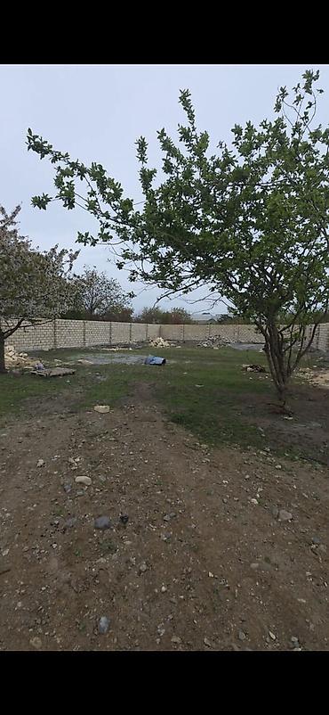 yeni emlak kiraye: 9 sot, Tikinti, Mülkiyyətçi, Kupça (Çıxarış) — 9