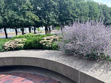 Другие удобства для дома и сада: Другие удобства для дома и сада — 8