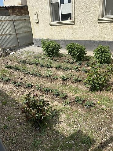 Долгосрочная аренда домов: 120 м², 3 комнаты, Утепленный, Бронированные двери, Евроремонт — 4