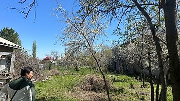 оочень: 20 соток, Для строительства, Красная книга — 1