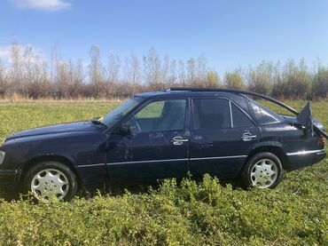 Mercedes-Benz: Mercedes-Benz W124: 1989 г., 2.3 л, Механика, Бензин, Седан — 30