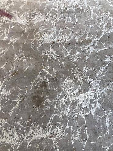 Стирка ковров: Стирка ковров, | Палас, Ала-кийиз, Шырдак, Самовывоз, Бесплатная доставка, Платная доставка — 6