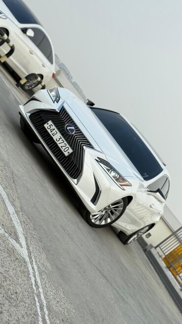 Lexus: Lexus ES: 2020 г., Седан — 1