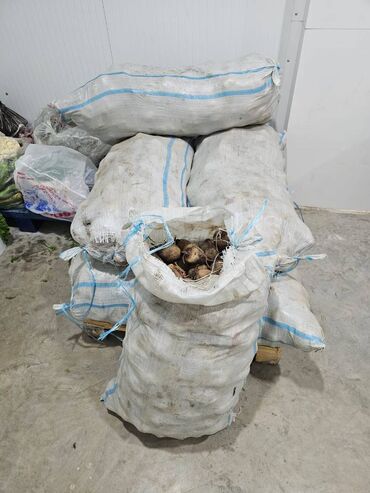 трава для животных: Куплю свёклу грязную с хранением до мая 15 тн, на производство