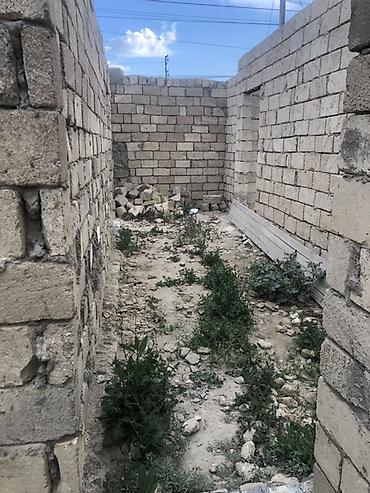 ilisu torpaq satilir: 2 sot, Tikinti, Mülkiyyətçi, Bələdiyyə — 6