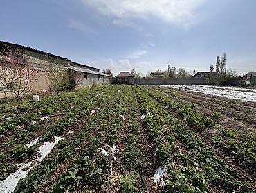 Продажа участков: 7 соток, Для строительства, Красная книга, Тех паспорт — 5