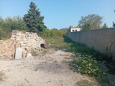 Torpaq sahələrinin satışı: 21 sot, Tikinti, Kupça (Çıxarış) — 5