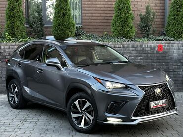 Lexus: Lexus NX: 2018 г., 2 л, Автомат, Бензин, Кроссовер