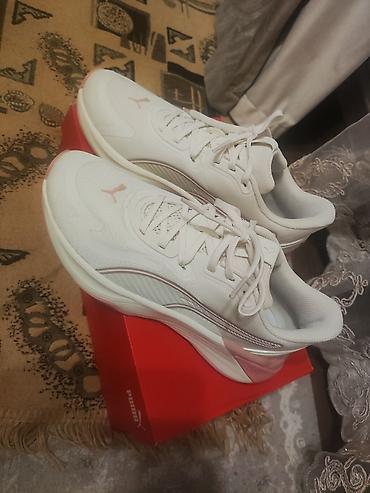 puma 39: Кроссовки, 39, Puma, Новый, цвет - Белый, Самовывоз — 1