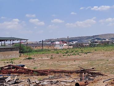 fermaya: Haciqabulda ferma satılır.15 hektar.350kv.tikili.kənd tədərrüfatı — 6