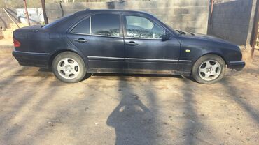бругмансия купить: Mercedes-Benz : 1999 г., 2.4 л, Автомат, Бензин, Седан