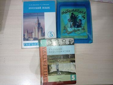 кастюм спортивный: Книги для 5 классов
Можно по отдельности
Цена:200