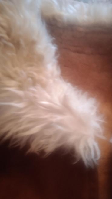 Дубленки: Дубленка, Классическая модель, По колено, M — 9