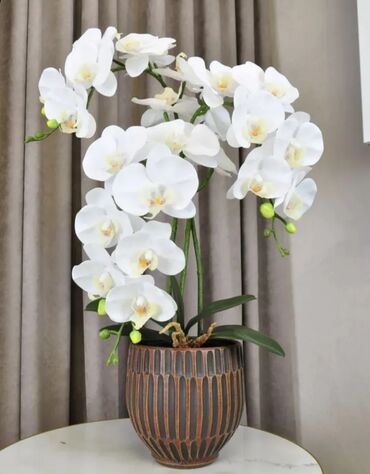 Декоративные цветы: Орхидея искусственная для декора в керамическом горшке Орхидея — 5