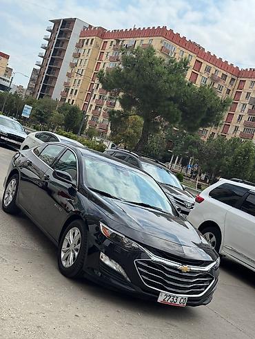 круз шевроле: Chevrolet Malibu: 2019 г., 1.5 л, Автомат, Бензин, Седан — 1