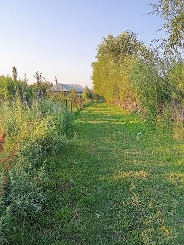 место отдыха: 5 соток, Для строительства, Красная книга — 1