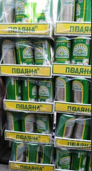 комнатные растения оптом: 🔵 ОПТОМ! ОПТОМ! ОПТОМ! 🔵 ✅ Минимальный заказ — от 10 блоков