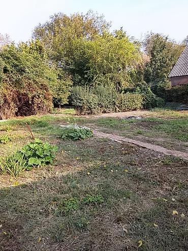 Продажа участков: 8 соток, Красная книга — 3