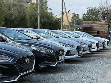 соната лы: Hyundai Sonata: 2019 г., 2 л, Автомат, Газ, Седан — 10