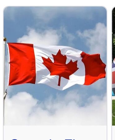 чайник буу: 🎯 Говори по-английски как настоящий канадец! 🇨🇦 Начни говорить