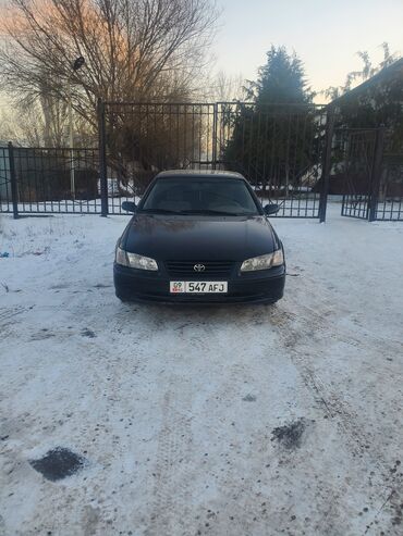 срв 1997: Toyota Camry: 1997 г., 3 л, Автомат, Бензин, Седан