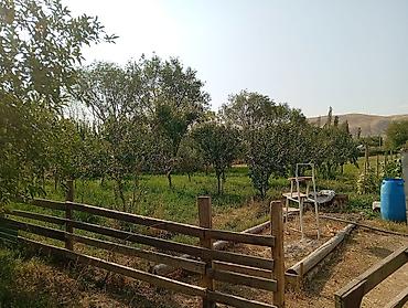 Продажа коттеджей и домов: 🏡 Продаётся дом в селе Нижняя Серафимовна, Ысык-Атинский район 🌄 — 3
