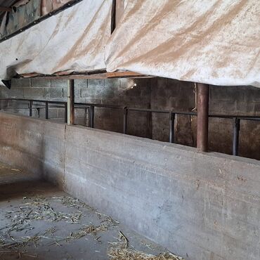 Продажа домов: Барачный, 45 м², 4 комнаты, Собственник, Евроремонт — 15