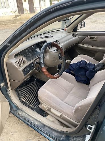 Toyota: Toyota Camry: 1997 г., Бензин, Седан — 6