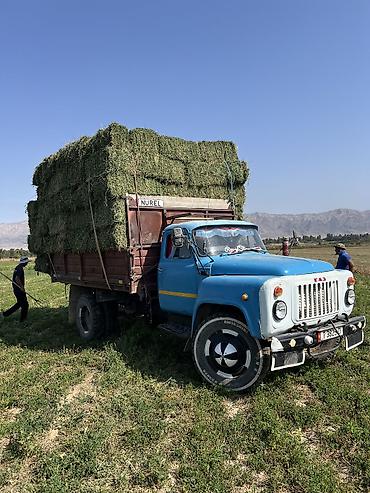 газ 53 дизелной: Грузовик, ГАЗ, Стандарт, 3 т, Б/у — 2